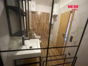 Pronájem bytu 1+kk, Nupaky, 25 m2