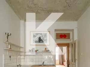 Prodej bytu 1+1, Praha - Karlín, Hybešova, 51 m2