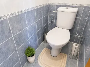 Pronájem bytu 3+kk, Praha, Litoměřická, 70 m2