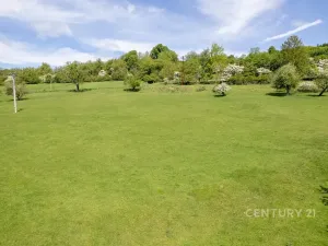 Prodej pozemku, Velká Bukovina, 3400 m2
