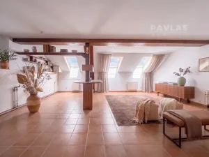 Prodej bytu 3+kk, České Budějovice, Puklicova, 90 m2