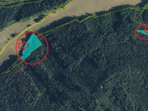 Prodej lesa, Velké Losiny, 7690 m2