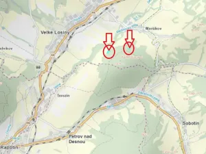 Prodej lesa, Velké Losiny, 7690 m2
