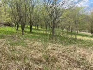 Prodej pozemku pro bydlení, Sázava, 7630 m2