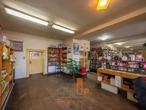 Prodej obchodního prostoru, Šatov, 470 m2
