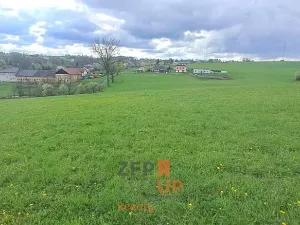 Prodej pozemku pro bydlení, Bruzovice, 3269 m2