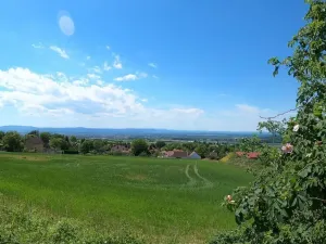 Prodej pozemku, Adamov, Na werku, 846 m2
