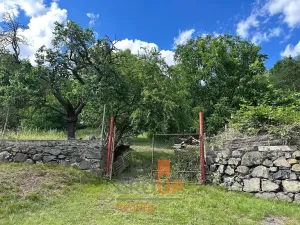 Prodej pozemku pro bydlení, Dolní Zálezly, 5994 m2