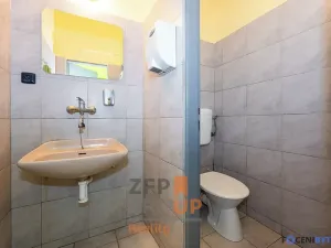 Pronájem obchodního prostoru, Hodonín, Velkomoravská, 702 m2
