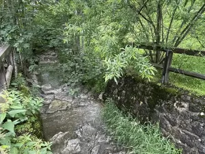 Prodej rodinného domu, 3295 Lackenhof, Rakousko, Rakousko, 250 m2