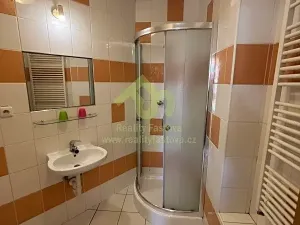 Prodej vícegeneračního domu, Plzeň, 776 m2