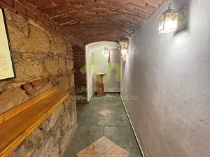 Prodej vícegeneračního domu, Plzeň, 776 m2