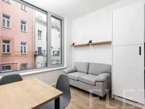Pronájem bytu 2+kk, Praha - Smíchov, Plzeňská, 26 m2