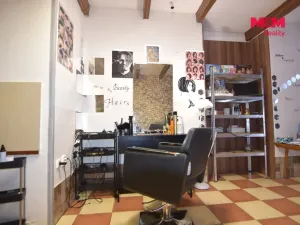 Pronájem obchodního prostoru, Mladá Boleslav - Mladá Boleslav II, Lukášova, 44 m2