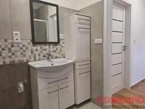 Pronájem bytu 2+kk, Přeštice, Revoluční, 45 m2