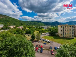 Prodej bytu 1+1, Ústí nad Labem, Peškova, 38 m2