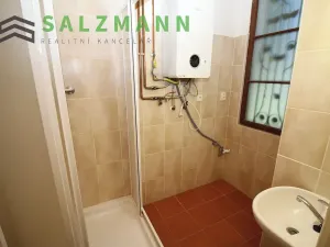 Pronájem bytu 2+1, Plzeň, Sladkovského, 68 m2