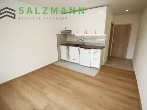 Pronájem bytu 1+kk, Dolní Bělá, 2 m2