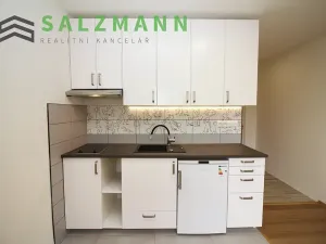 Pronájem bytu 1+kk, Dolní Bělá, 2 m2