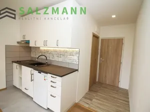 Pronájem bytu 1+kk, Dolní Bělá, 2 m2