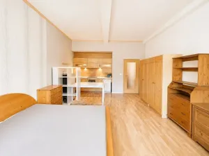 Prodej bytu 1+kk, Brno, Zábrdovická, 40 m2
