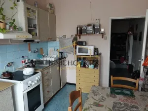 Prodej bytu 2+1, Praha - Krč, Fillova, 52 m2