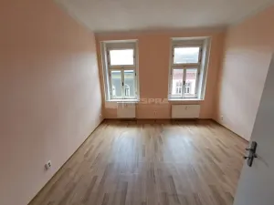 Pronájem bytu 1+kk, Praha - Žižkov, Vlkova, 28 m2