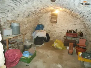 Prodej vícegeneračního domu, Turnov, Antonína Dvořáka, 320 m2
