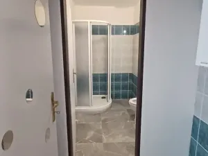 Pronájem bytu 2+kk, Plzeň, Bělohorská, 57 m2