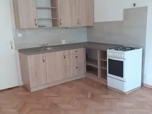 Pronájem bytu 2+kk, Plzeň, Stehlíkova, 60 m2