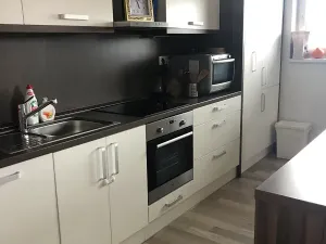 Prodej bytu 3+kk, Plzeň, U Velkého rybníka, 104 m2