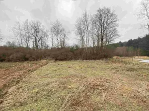 Dražba pozemku, Drahonice, 2121 m2