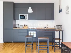 Pronájem bytu 1+kk, Praha - Žižkov, U Viktorie, 40 m2