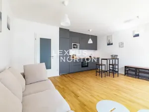 Pronájem bytu 1+kk, Praha - Žižkov, U Viktorie, 40 m2