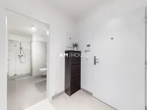 Pronájem bytu 1+kk, Praha - Karlín, Sokolovská, 38 m2
