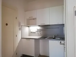 Pronájem bytu 2+1, Praha - Bubeneč, U zeměpisného ústavu, 45 m2