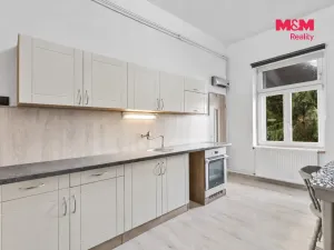 Pronájem bytu 1+1, Mladá Boleslav - Mladá Boleslav III, S. K. Neumanna, 51 m2