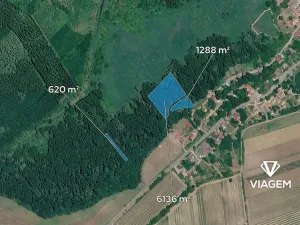 Prodej podílu lesa, Brod nad Dyjí, 3867 m2