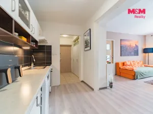Prodej bytu 3+kk, Horní Slavkov, Poštovní, 55 m2