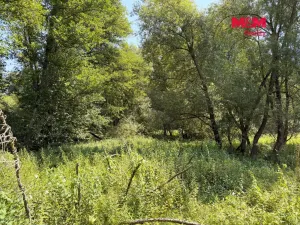 Prodej rybníku, Dolní Hořice - Pořín, 8552 m2