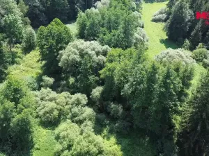 Prodej rybníku, Dolní Hořice - Pořín, 8552 m2