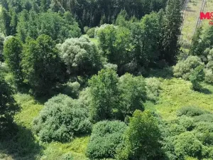 Prodej rybníku, Dolní Hořice - Pořín, 8552 m2