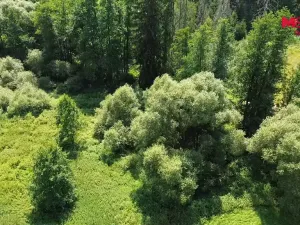 Prodej rybníku, Dolní Hořice - Pořín, 8552 m2