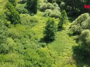 Prodej rybníku, Dolní Hořice - Pořín, 8552 m2