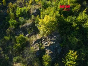 Prodej lesa, Lomnice, 7450 m2
