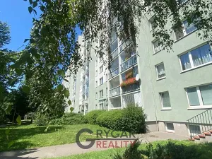 Prodej bytu 1+1, Praha - Chodov, Bachova, 43 m2