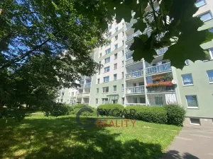 Prodej bytu 1+1, Praha - Chodov, Bachova, 43 m2