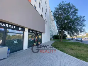 Prodej bytu 1+1, Praha - Chodov, Bachova, 43 m2