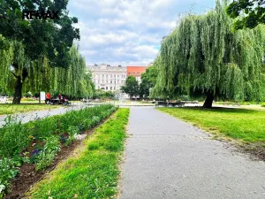 Pronájem bytu 3+1, Praha - Nové Město, Karlovo náměstí, 79 m2