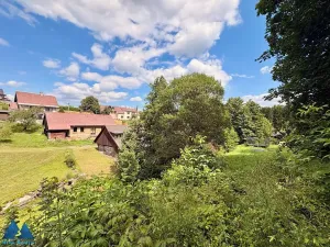 Prodej chalupy, Bukovina u Čisté, 150 m2